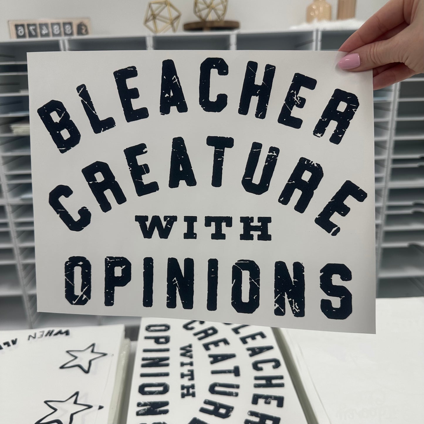 Bleacher creature with opinions screen print transfer•