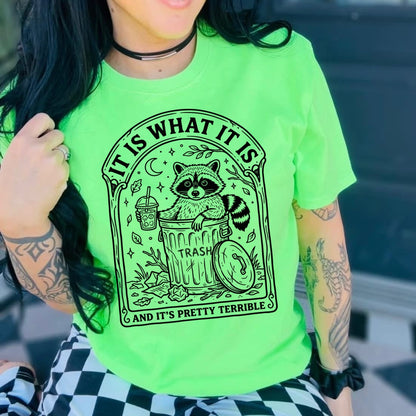 It is what it is  screen print transfer•