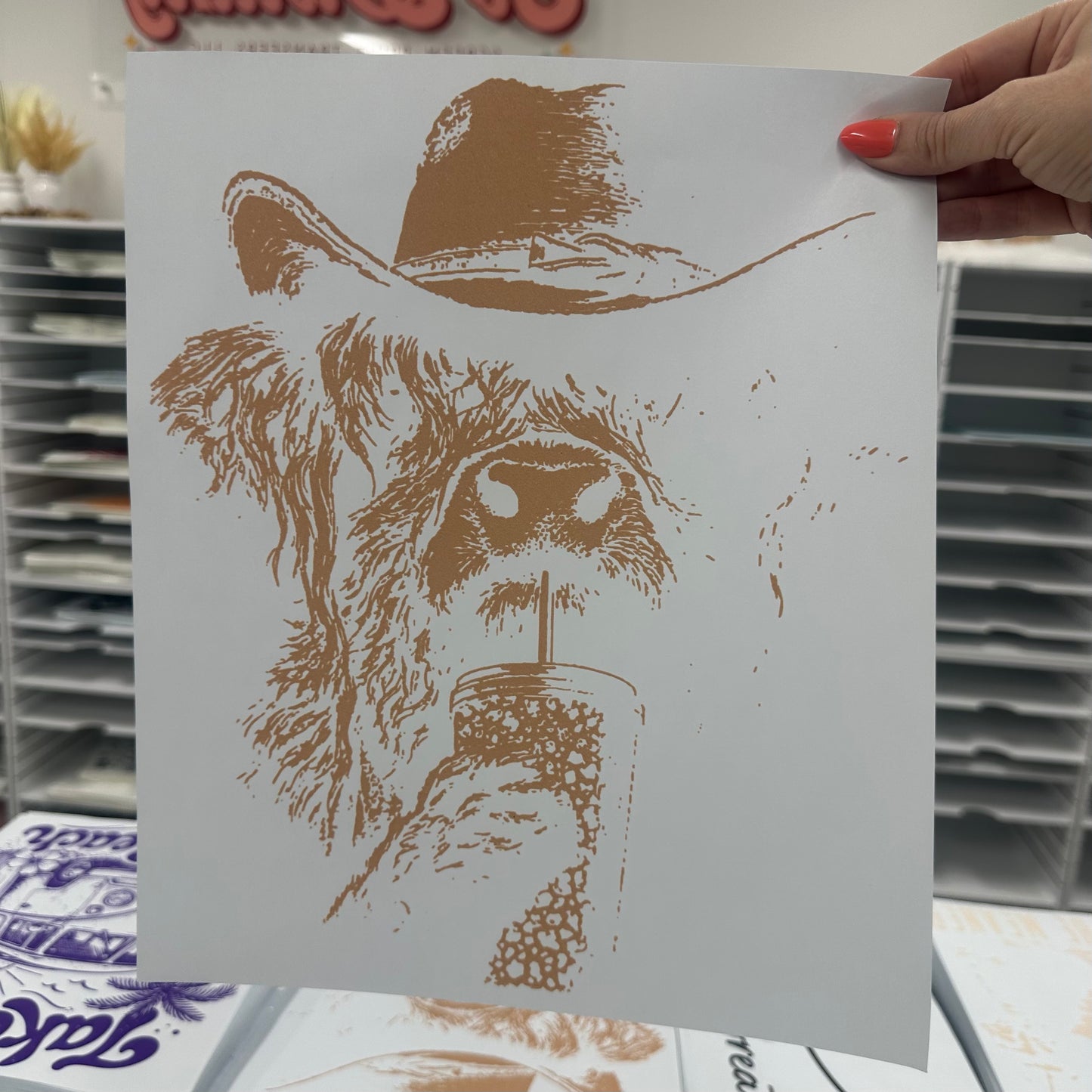 half tone western highland cow  screen print transfer•