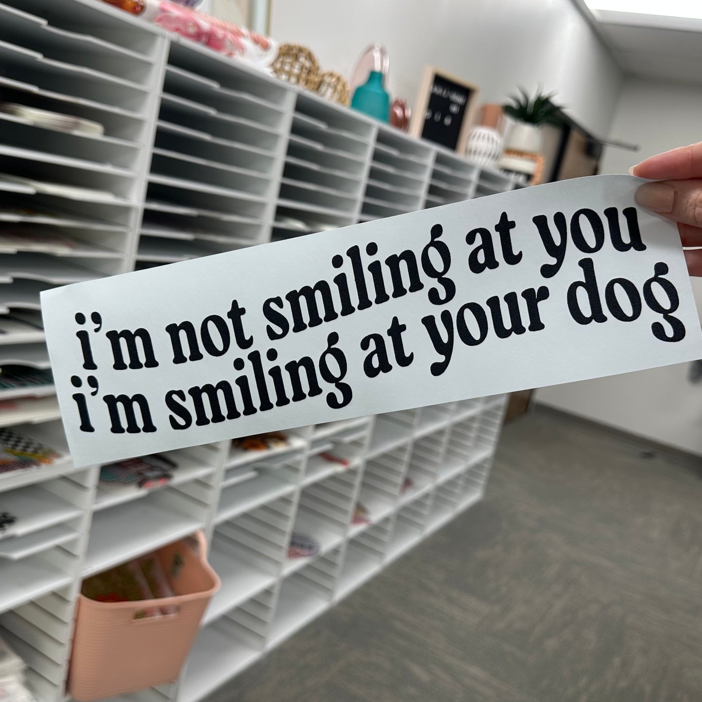 smiling at your dog screen print transfer