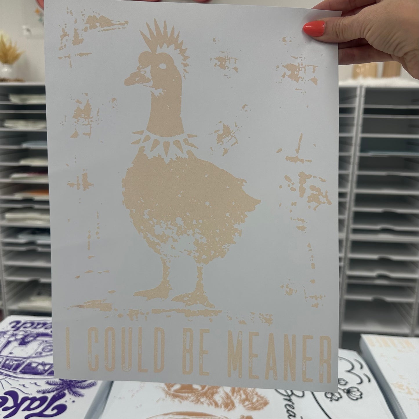 I could be meaner emo goose screen print transfer•