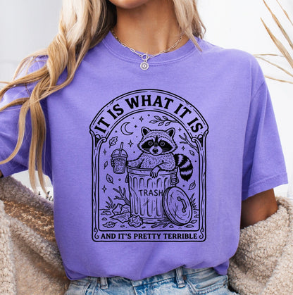 It is what it is  screen print transfer•