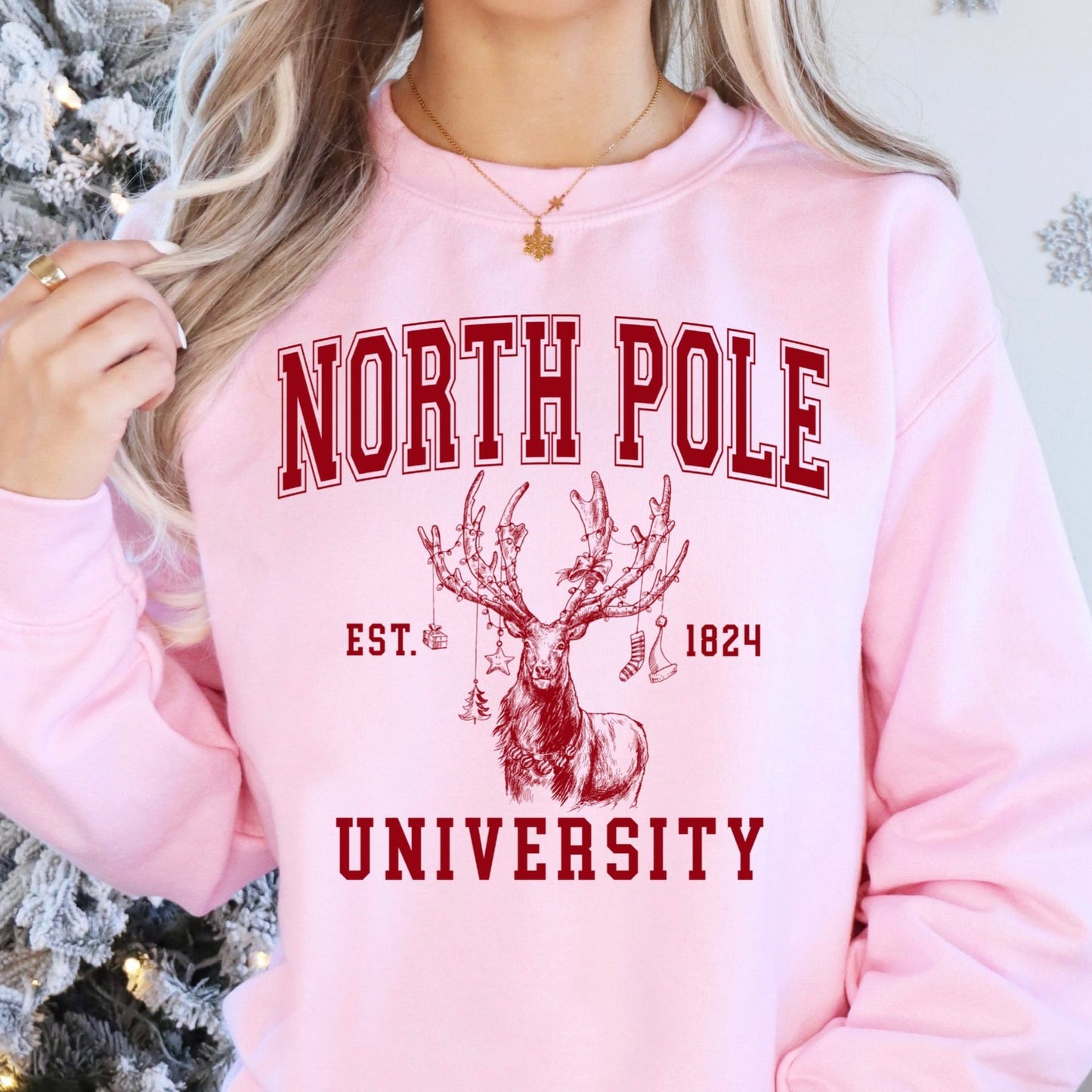 North Pole University screen print transfer