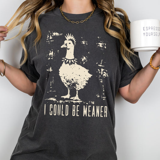 I could be meaner emo goose screen print transfer•