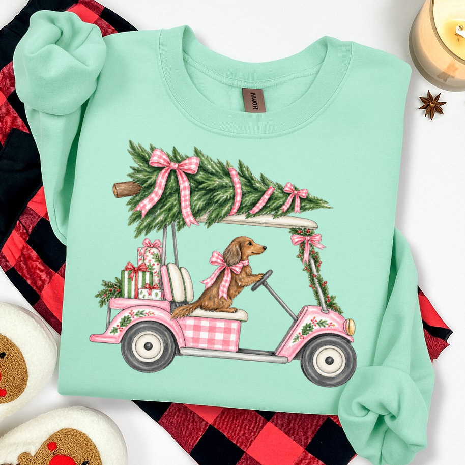 PRE-ORDER preppy christmas golf cart DTF 5-7 biz day tat