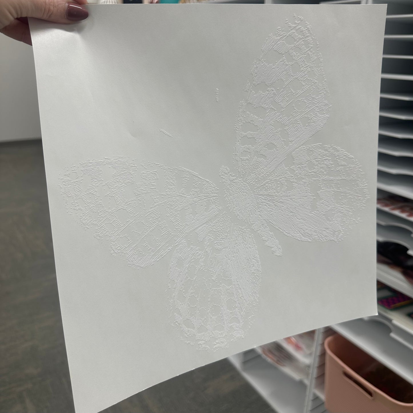 Butterfly sketch screen print transfer