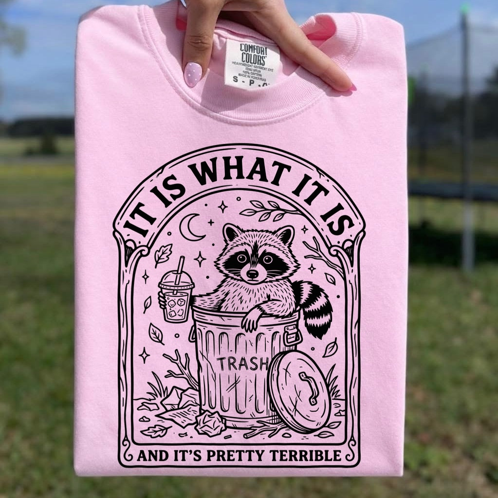 It is what it is  screen print transfer•