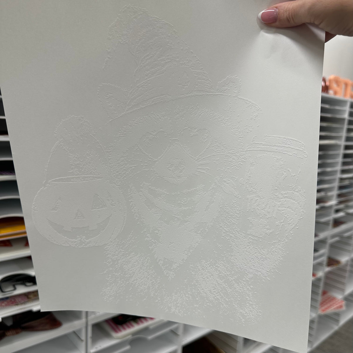 trick or treat raccoon screen print transfer•