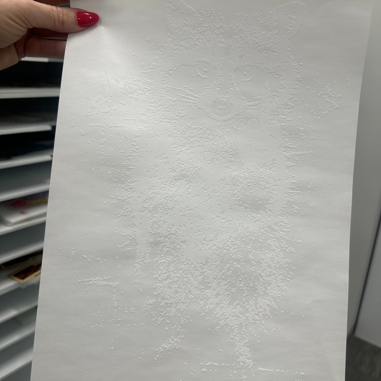 FU raccoon screen print transfer•