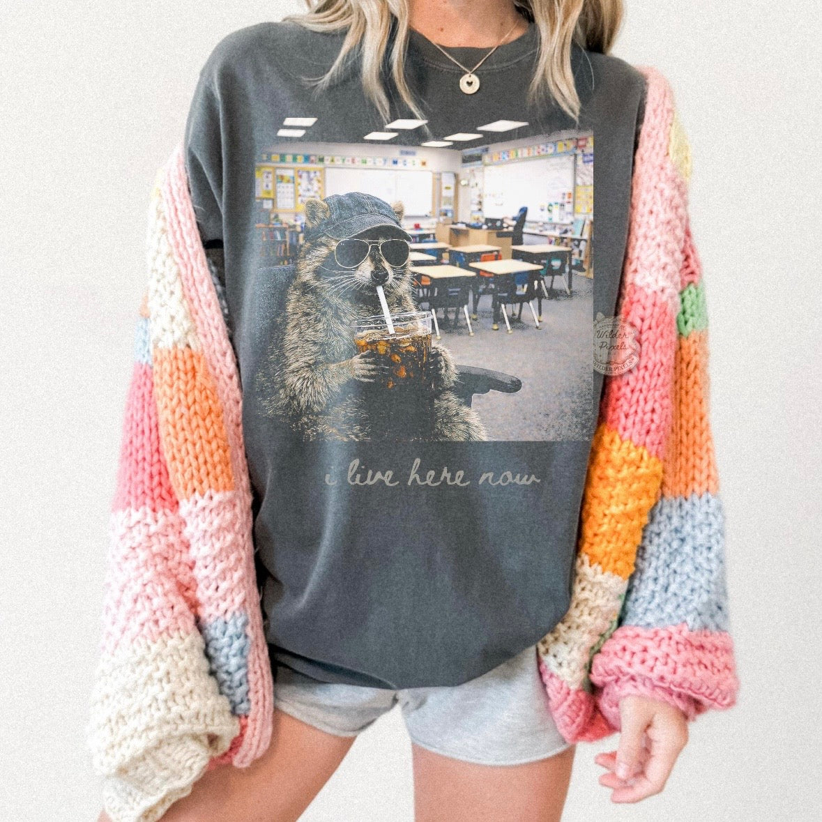 I live here now classroom raccoon clear film screen print