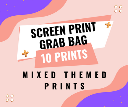 TEACHER Screen print transfer grab bag - 10 transfers d t f + screen prints