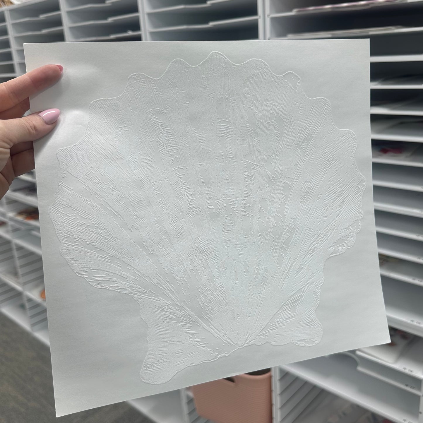 Sketch sea shell screen print transfer•
