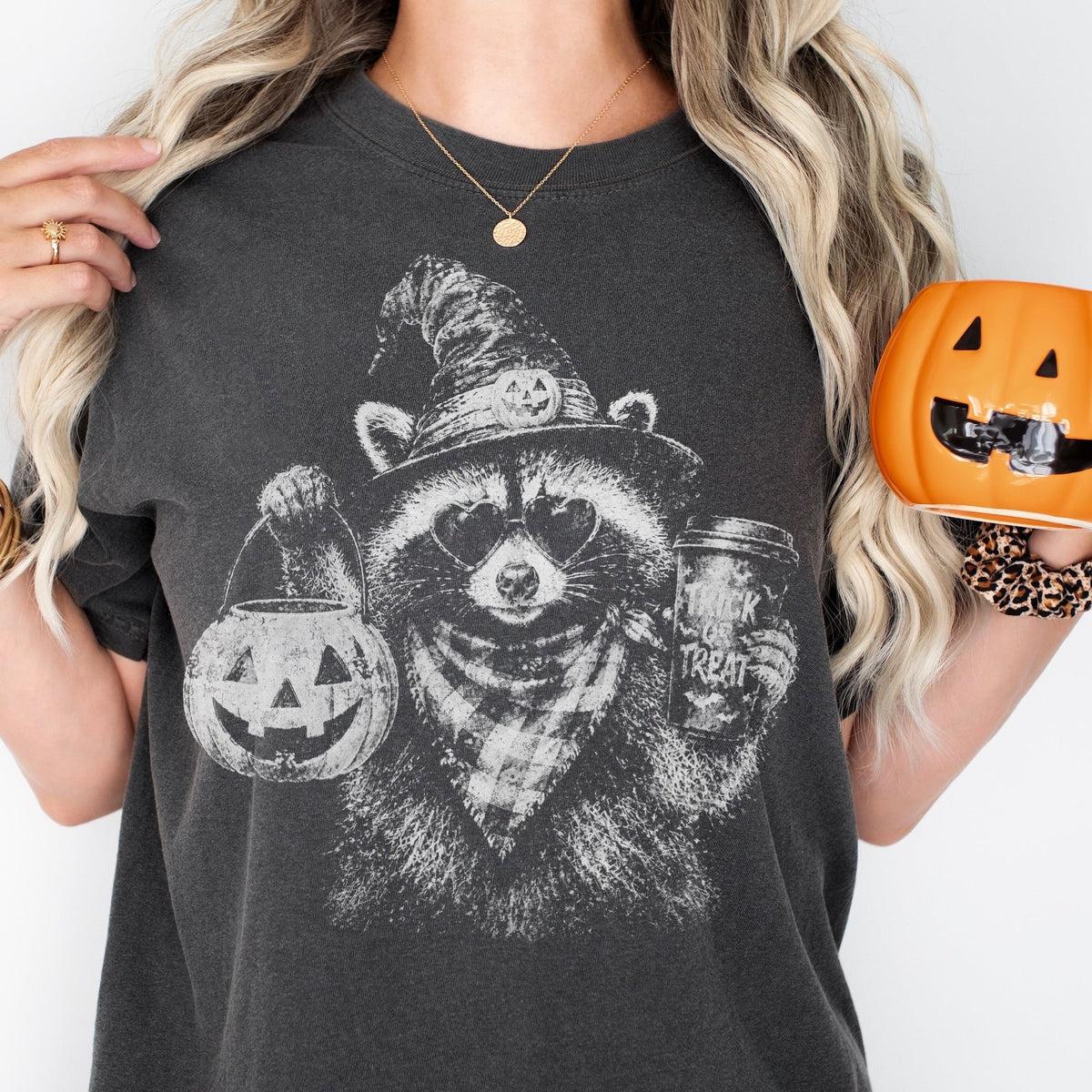 trick or treat raccoon screen print transfer•