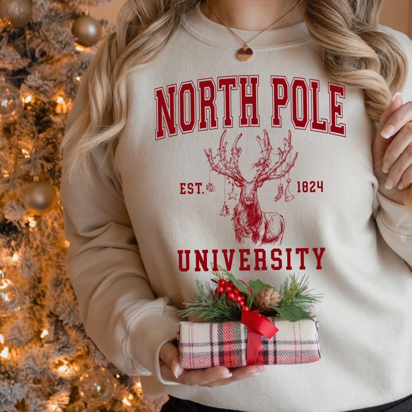 North Pole University screen print transfer