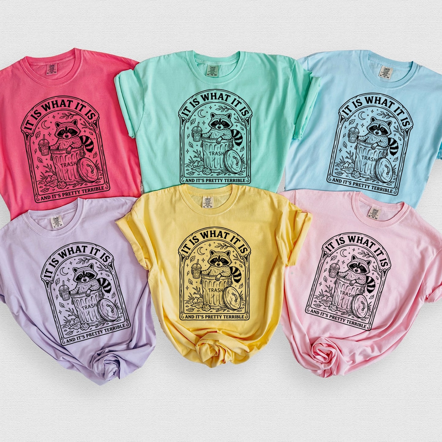 It is what it is  screen print transfer•