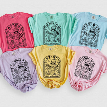 It is what it is  screen print transfer•