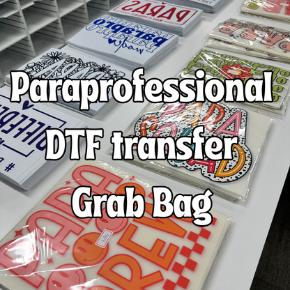 PARAPROFESSIONAL THEMED D T F transfers grab bags - 10 prints - PARA PRINTS